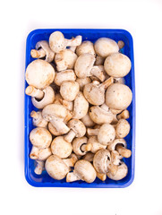 Mushrooms
