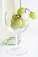 White Wine Grapes in Glass
