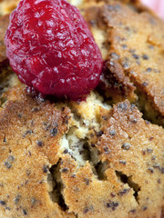 Raspberry muffin