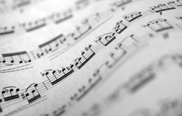 Naklejka premium musical score