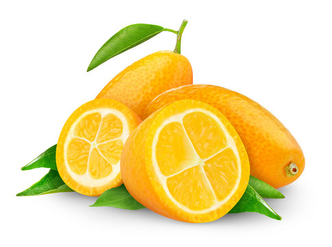 Isolated kumquats. Fresh cut kumquat fruits isolated on white background