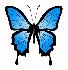 Abstract vector illustration of big beautiful blue butterfly