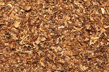 Sattering of tobacco. Background