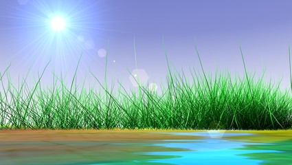 Obraz premium green grass