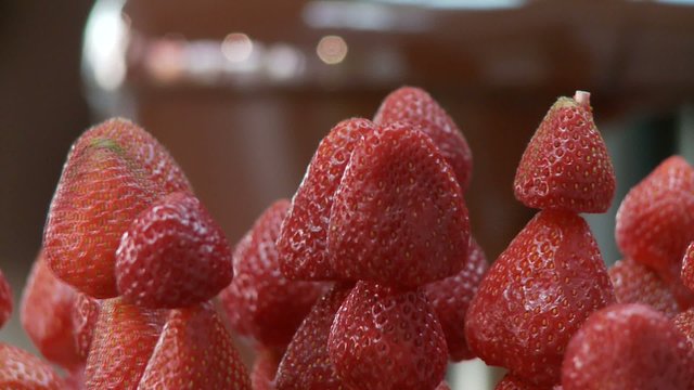 Erdbeeren und Schokobrunnen