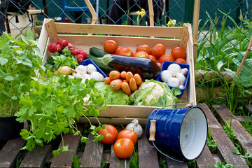 frisches Gemüse in Kiste