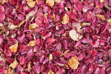 Dried petals