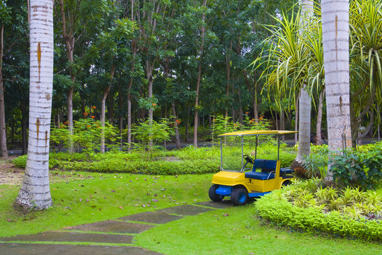 Golf cart on path, pretty green grass