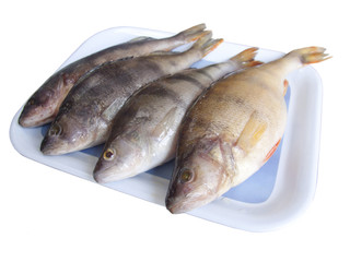 Fresh fish