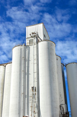 Grain storage