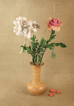 Dried pink hortensia and rose in vase