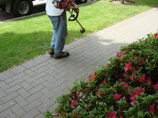 landscape maintenance