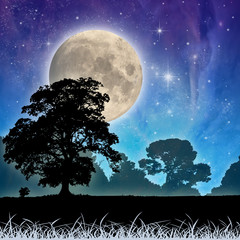 Fototapeta na wymiar A Country Meadow Landscape with Moon and Night Sky