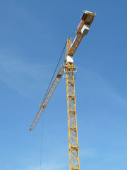 Naklejka premium Grue de Chantier