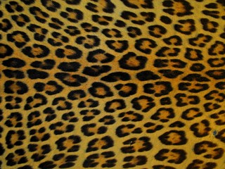 leopard skin