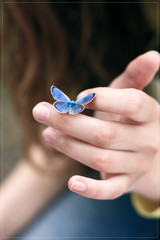 Obraz premium Friendly Butterfly