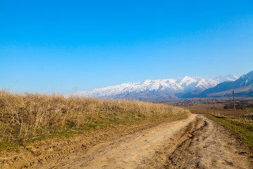 Landscape of the mountain road