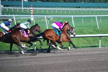 Racing Into the First Turn