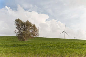 energia limpia © Jarp