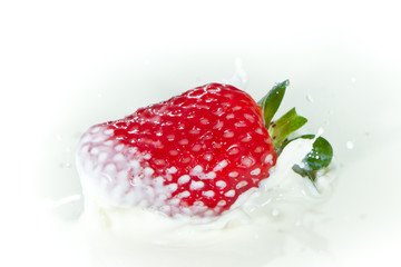 strawberry splashing into milk