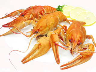red boiled river lobsters