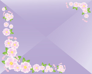 blossom background