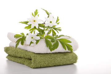wellness #9
