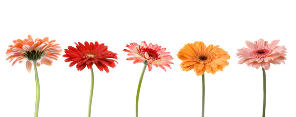 Set of five gerbers