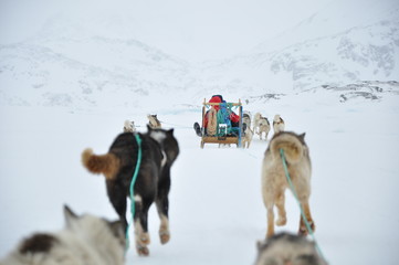 Dog sledging trip in cold snowy winter, Greenland