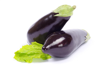 aubergine