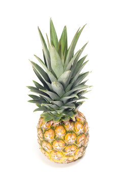One pineapple fruit on white background