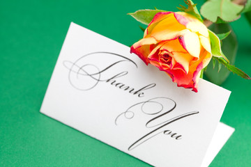 rose  and card signed thank you on green background