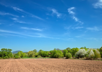 field for tillage