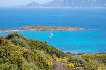 Barche in rada fronte isola porri