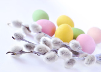 Colourfull easter eggs with willow twigs on white background © Lookinout
