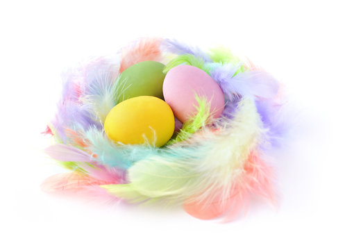 Three easter eggs in feather nest isolated on white background