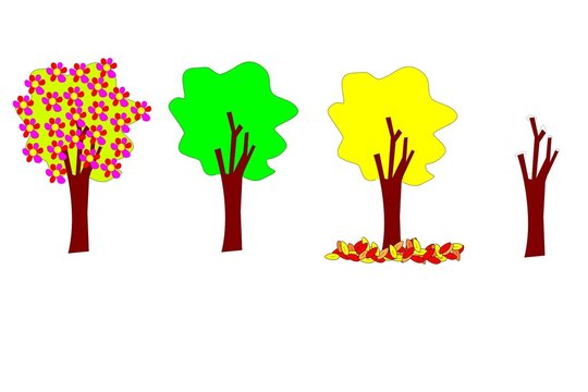 alberi colori e stagioni