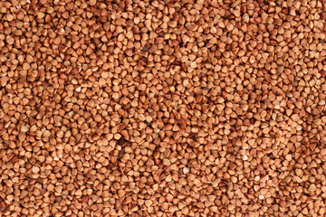 Buckwheat background