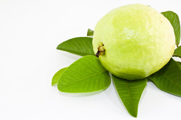 Guava Fruit over white background