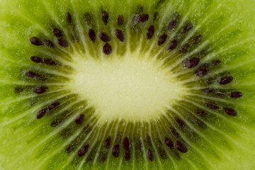Kiwi fruit slice close up macro