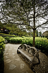 Garden Walkway