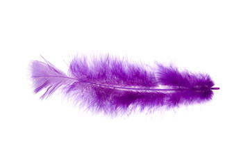 Feather