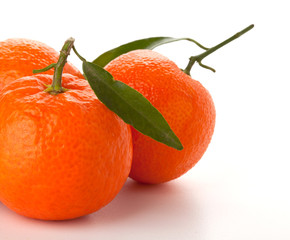 Ripe tangerines with green leaf
