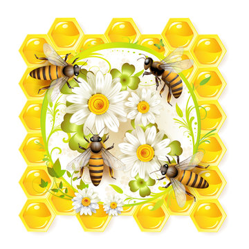 Bees with flowers and honeycombs