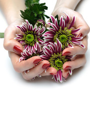 Obraz na płótnie Canvas Beautiful manicured hands with bunch of exotic purple flowers. i
