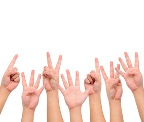 Compilation of counting hand signs