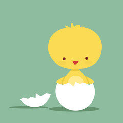 Cute chicken character, vector illustration