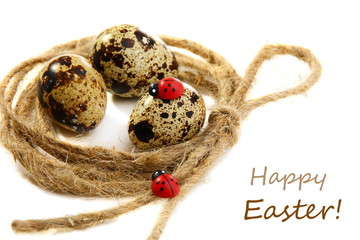 Colourful Easter eggs on a white background.