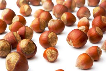 A lot of hazelnuts on a white background