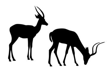 two antelope  black silhouettes